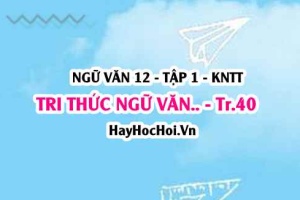 Soạn bài Tri thức Ngữ Văn trang 40 Ngữ văn lớp 12 tập 1 Kết nối tri thức